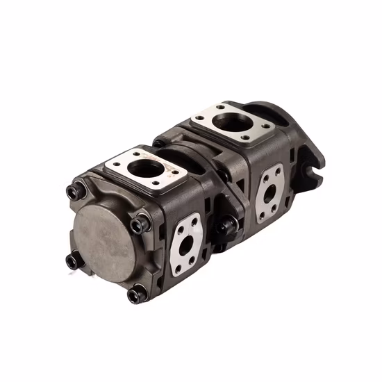 Внутренний шестеренный насос для машины для литья пластмасс под давлением